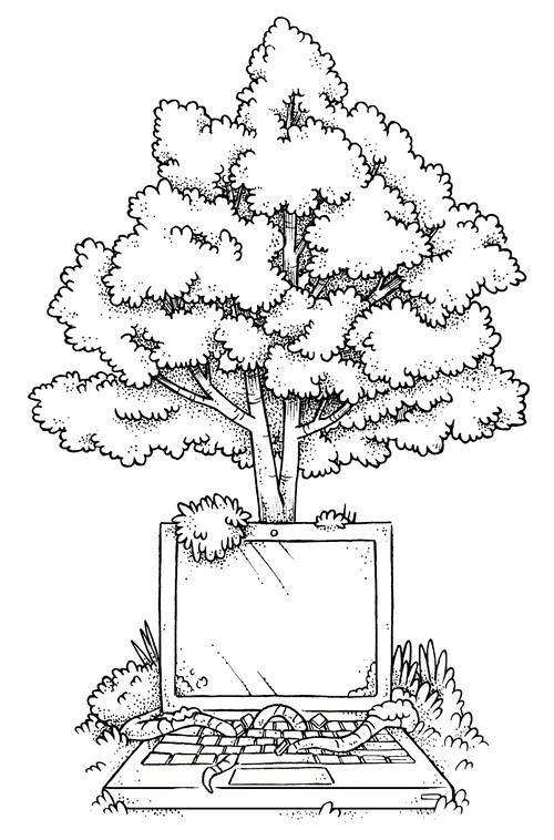 The Alder IT logo, an image of a laptop at the base of an Alder tree with a few roots curling around it